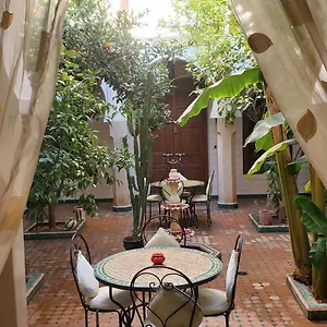 Riad Tidar By Phoenix ***